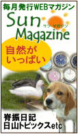 �T���}�K�W���g�b�v��