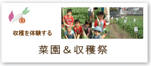 菜園・収穫祭のご案内